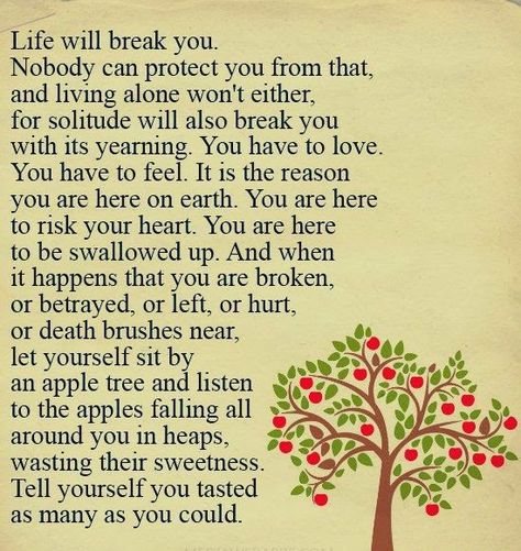 Quotes and Sayings: Life Will Break You Empath Poetry, Energy Movement, Louise Erdrich, Living Alone, Here On Earth, Perfection Quotes, Apple Tree, Feel It, Life Inspiration