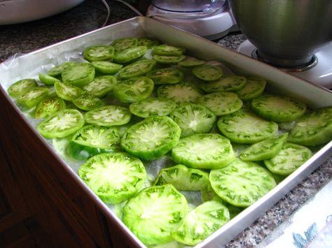 Mountain Top Spice: GREEN TOMATOES! Freeze Green Tomatoes, Fridge Pickles, Preserving Vegetables, Green Tomato Recipes, Peter Piper, Baked Steak, Food Entrees, Freezing Food, Freeze Greens