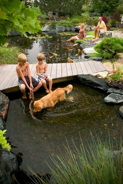 <3 Kolam Koi, Taman Air, Building A Pond, Natural Swimming Ponds, Backyard Pond, Garden Pond Design, Fountains Backyard, Pond Water Features, Swimming Pond