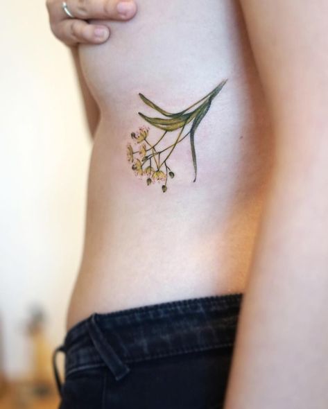 Linden Tattoo, Botanisches Tattoo, Linden Flower, Tattoo Font Styles, Botanical Tattoos, Tattoo Tree, Ljubljana Slovenia, Sacred Tree, Lime Tree