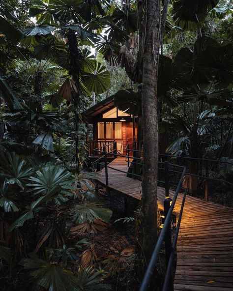 Tulum Garden, Shock Therapy, Jungle House, Forest Cabin, Wilderness Lodge, Ways To Sleep, Retro Bathrooms, Wellness Retreat, Hawaii Life