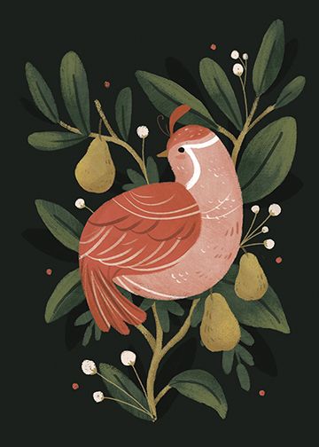 "Partridge in a pear tree" digital illustration Lindsay Dale-Scott 2015 Partridge In A Pear Tree, Arte Doodle, Pear Tree, Bird Tree, Tree Illustration, Partridge, Art And Illustration, Bird Illustration, Christmas Illustration