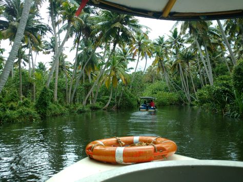 Hey guys!! I recently went on a little trip to Poovar Islands in Kerala (That’s in India btw) It was a beautiful experience going by boat through mangroove forests… It leads to one of t… Poovar Island Kerala, Beautiful Places In Kerala, Beauty Of Kerala, Kerala Tourist Places, Magical Trees, Kerala Tour, Appreciate Everything, Magical Tree, India Travel