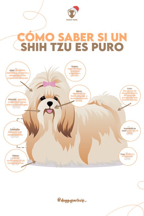 Siguenos en Instagram: @Doggyparkvip_ Dog Wallpaper Shih Tzu, Shih Tzu Grooming Styles, Free Shih Tzu Svg, Shih Tzu Care Tips, Shih Tzu Hair Styles, Shih Tzu Information, Perro Shih Tzu, Shih Tzu Grooming, Shitzu Puppies