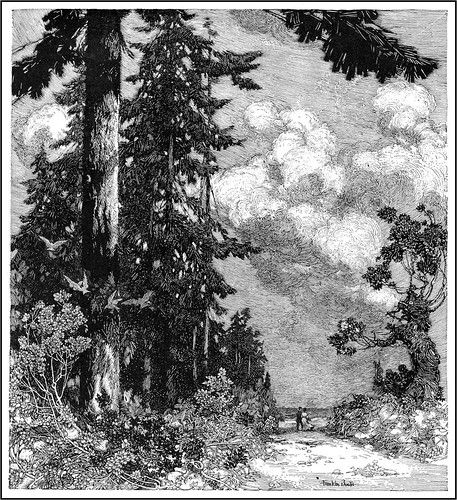 Franklin Booth "The Pine" (modified) | Franklin Booth (1874-… | Flickr Franklin Booth, Ink Master, Landscape Drawings, Wood Engraving, Landscape Illustration, Ink Illustrations, Drawing Tutorials, Pen Art, Ink Pen Drawings