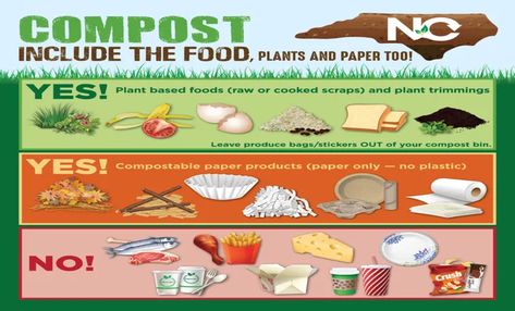 What Do You Put in a Compost Bin First? A Beginner's Guide to Composting Essentials Compost Poster, Backyard Composting, Composting Process, Composting At Home, Family And Consumer Science, Waste Reduction, Food Scraps, Produce Bags, Composting