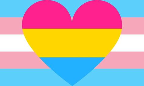 A pansexual trans person. This I exactly me Trans And Pan Wallpaper, Trans Flag Art, Pastel Trans Flag, Trans And Pan Flag, Pan Sexuality Flag, Trans Masculine Pride Flag, Trans Pride Flag, Pansexual Flag, Trans Art