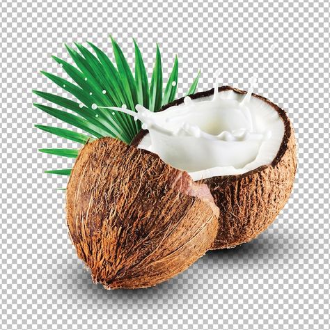 Coconut Shell Art, Coconut Images, Pili Nut, Juice Splash, Coconut Leaves, Coconut Dream, Coconut Soap, Dream Cream, Fresh Coconut