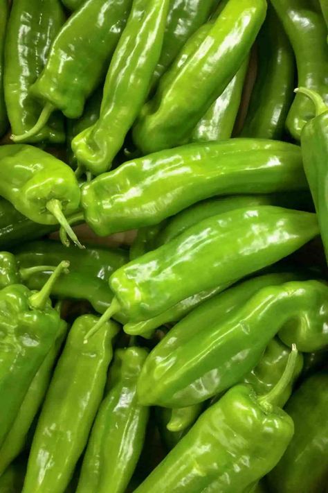 Types Of Chili, Long Green Peppers, Types Of Chili Peppers, Cubanelle Pepper, Fruits And Vegetables Pictures, Chilli Plant, Types Of Peppers, Chile Serrano, Green Chili Peppers