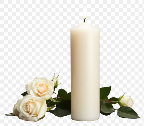 Png Images For Editing, Candle Flower, Jesus Images, Flower Candle, Fun Diy Crafts, White Candles, Flower Plant, Fun Diy, Free Png