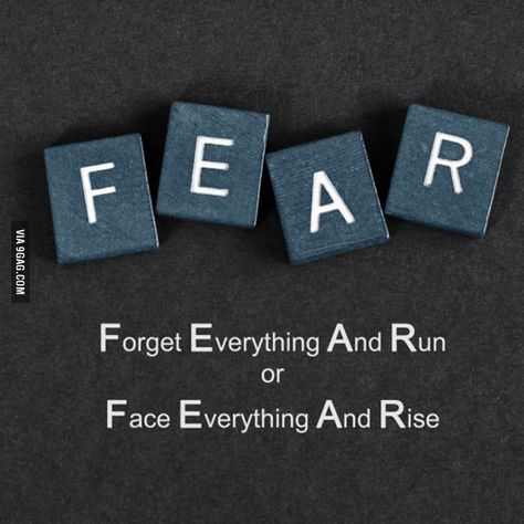 "What is the meaning of FEAR for you?" from Moxie! :D -- It depends. :) If the odds of survival are in my favor, the second. Else, the first! Something I learned in the Military, the Scouts, and my Grandfather before that! Lot of accumulated experience in dealing with fear! ;) :D It's natural! It's hard wired! You can't escape it! Either you learn to accept it and use it, or it controls you! And you will probably die. "A coward dies a thousand deaths. A brave man only once!" Fear Meaning, Face Everything And Rise, Fear Of Flying, Lesson Quotes, New Energy, Quotable Quotes, The Meaning, True Words, Inspirational Quote