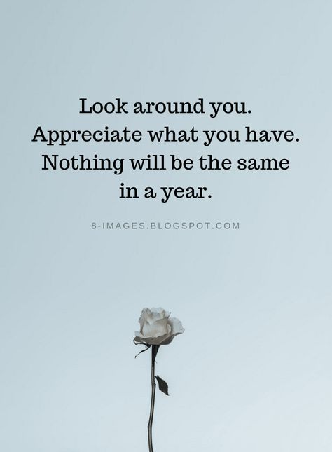 Gratitude Quotes Look around you. Appreciate what you have. Nothing will be the same in a year. Grateful Quotes, Thankful Quotes, Appreciate Life Quotes, Appreciate What You Have, Appreciation Quotes, Fav Quotes, Gratitude Quotes, The Words, Great Quotes