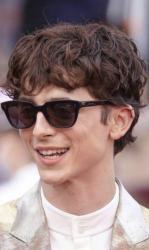 Timothee Chalamet Short Hair, Mens Straight Hair, Black Hair With Brown Highlights, Mod Cut, Undercut Curly Hair, David Hair, Top Haircuts For Men, Surfer Hair, Mens Haircuts Short Hair