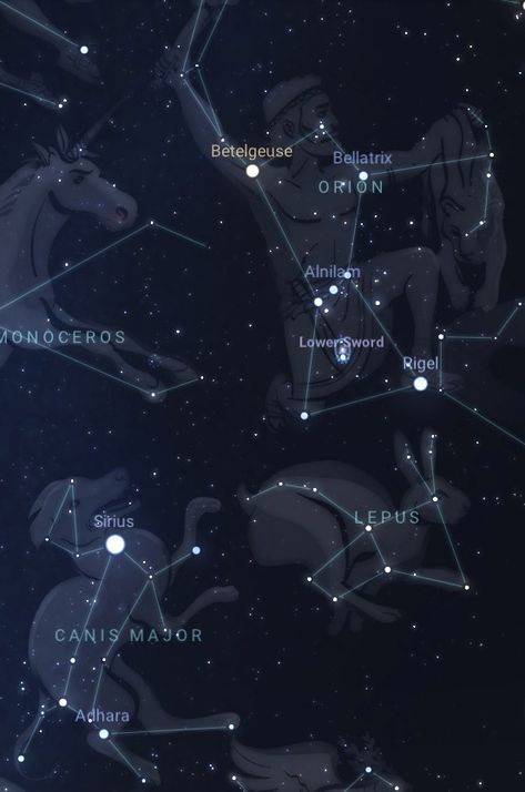 Sirius | The Brightest Star in the Sky | Pictures, Facts, and Location Sirian Starseed, Star Meaning, Brightest Star In The Sky, The Dog Star, Sirius Star, Orion Constellation, Astronomy Facts, Systems Art, Star In The Sky