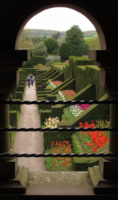 Biddulph Grange Gardens, Green Scenery, Versailles Garden, Butchart Gardens, Gardens Of The World, Famous Gardens, Topiary Garden, Topiary Trees, Flower Garden Design