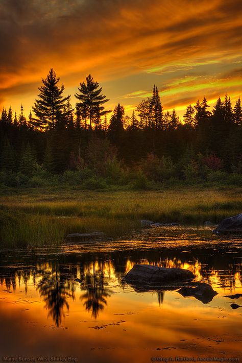 Maine Wilderness, Pretty Scenery, Inspirational Board, Maine Travel, White Landscape, Alam Yang Indah, Amazing Photos, Inspiration Board, Landscape Photos