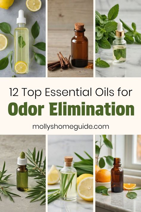 Discover the power of essential oils for odor elimination with our DIY deodorizing pads and natural herb blends. Get rid of odors effectively using our tips on how to make your own odor eliminator sprays and deodorizing room sprays. Say goodbye to armpit odor using the best essential oil blends for deodorant, and explore the benefits of diffuser blends in removing unwanted smells. Enhance every room's atmosphere with our odor eliminating essential oils - try it now! Doterra Odor Eliminator Spray, Essential Oils For Odor Elimination, Deodorizing Essential Oil Blends, Diy Odor Eliminator Spray, Armpit Smell, Odor Eliminator Diy, Best Essential Oil Blends, Essential Oils For Cleaning, Essential Oil Deodorant