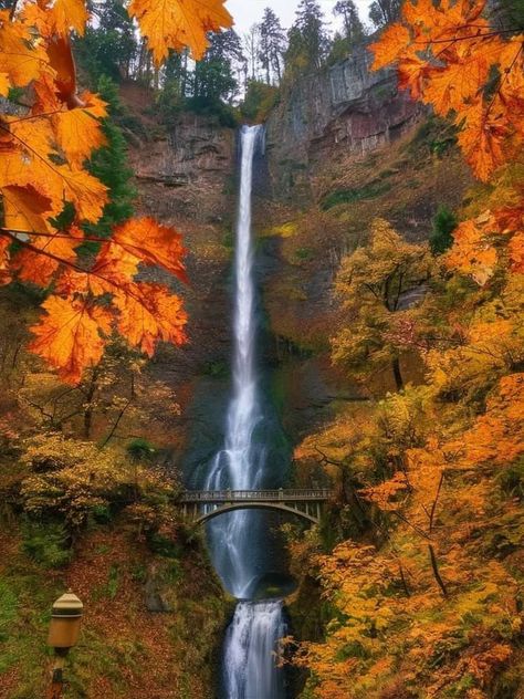 Multnomah Falls.. along the Columbia River Gorge Troutdale, Oregon...    Autumn... the most delightful time of the year 🍂🧡🍁 🍂🧡🍁 🍂🧡🍁 🍂🧡🍁 🍂🧡🍁 Multnomah Falls Oregon Photography, Oregon Autumn, Troutdale Oregon, Oregon Fall, Multnomah Falls Oregon, Oregon Trip, Oregon Photography, Multnomah Falls, Columbia River Gorge