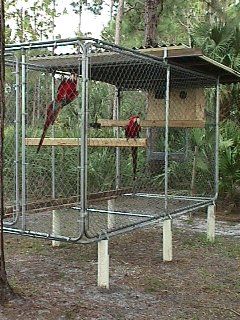 Macaw Aviary Macaw Aviary, Parrot Ideas, Macaw Cage, Diy Rabbit Cage, Aviary Ideas, Diy Bird Cage, Pet Bird Cage, Large Bird Cages, Rabbit Cages