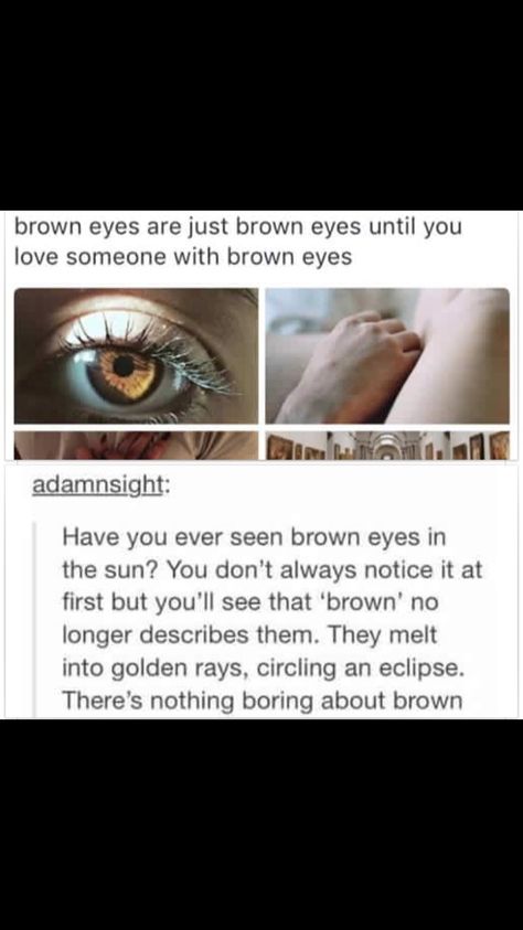 Brown eyes are my favourite! Dark Brown Eyes In Sunlight, Reddish Brown Eyes, Brown Eyes Are Beautiful, Brown Eyes In The Sun, 1st Date Outfit, The Sun Quotes, Golden Brown Eyes, Those Eyes, Brown Eye Quotes