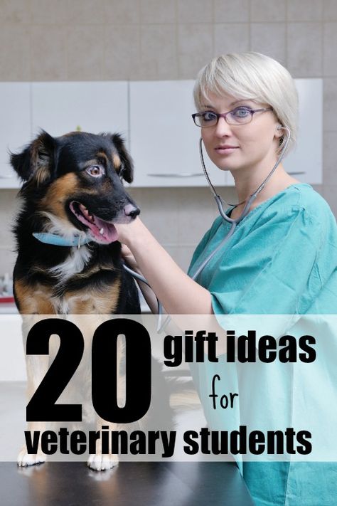 Trying to figure out what to get a vet student? Try one of these gift ideas for veterinary students for the next holiday. Veterinarian Medicine, Veterinarian School, Veterinary Humor, Veterinary Office, Veterinary Student, Vet Life, Birthday Present For Husband, Veterinary School, Veterinary Assistant