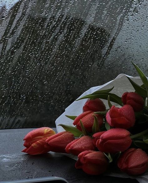 Rainy Day Aesthetic, I Love Rain, No Rain No Flowers, Nothing But Flowers, Flower Therapy, Autumn Scenery, Red Tulips, Spring Aesthetic, Natural Scenery