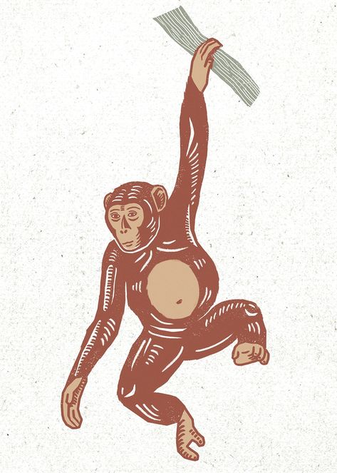 Brown monkey vintage linocut drawing | free image by rawpixel.com / busbus Monkey Linocut, Hanging Monkey Drawing, Vintage Linocut, Cowboy Boots Drawing, Monkey Images, Wildlife Drawings, Monkey Hanging, Monkey Drawing, Jungle Monkey