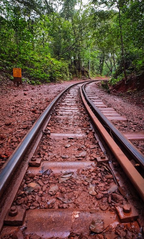 Matheran - Pollution free hill station of Maharashtra Matheran Hill Station Video, Matheran Hill Station Photography, Matheran Photography, Matheran Hill Station, Mumbai Travel, Travel Pose, Travel Pictures Poses, Perfectly Timed Photos, Pictures Poses