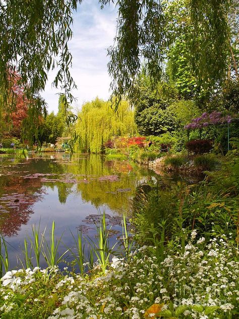 Monet's Water Garden 2 at Giverny by Alex Cassels | Nature aesthetic, Beautiful landscapes, Beautiful nature Fatemeh Core, Cottagecore Landscape, Cottage Aesthetic, Söt Katt, Nature Aesthetic, Pretty Places, Green Aesthetic, Water Garden, Dream Garden