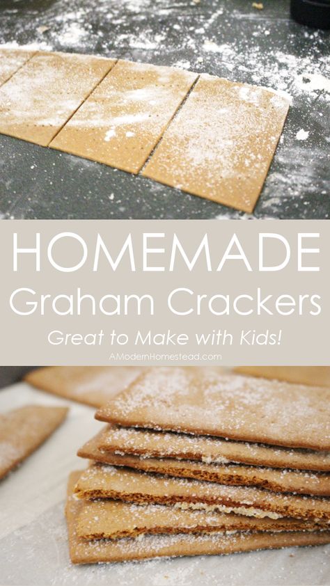 These homemade graham crackers are an easy and fun project to make with kids! The dough comes together very easily, and can be rolled out by even the tiniest hands! Homemade Organic Snacks, Foods To Make Homemade, All Natural Meals, Food To Make With Flour, Homemade Snacks To Sell, Homemade Kitchen Staples, Homemade Snack Cakes, Easy Homemade Snacks Simple, Cheap Homemade Snacks