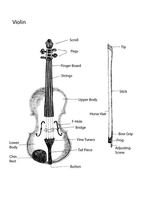 Parts of the Violin-Tracie Noles-Ross Violin Quotes, Janine Jansen, Violin Scroll, Violin Teaching, Violin Parts, Learn Violin, Violin Lessons, Violin Sheet, Violin Sheet Music