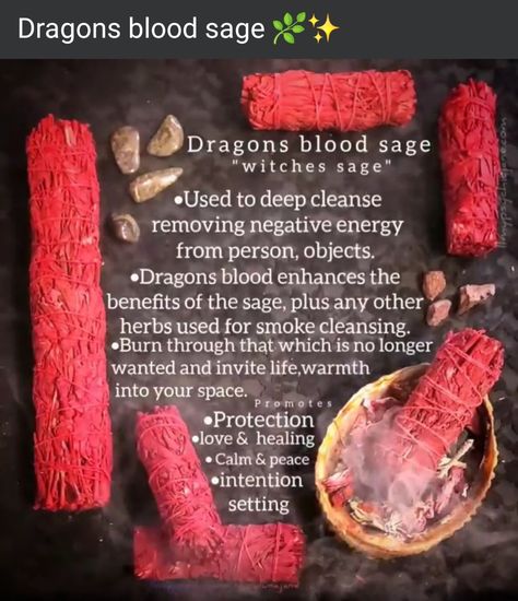 Red Sage Smudge Benefits, Red Sage Benefits, Dragon Blood Incense Benefits, Dragons Blood Incense Meaning, Daily Spells, Dragons Blood Sage, Indian Rituals, Sage Benefits, Smudging Ceremony