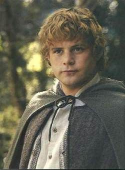 Samwise Gamgee - the gardener Kino Box, Sean Astin, Samwise Gamgee, Concerning Hobbits, Frodo Baggins, The Shire, Fellowship Of The Ring, Thranduil, Jrr Tolkien