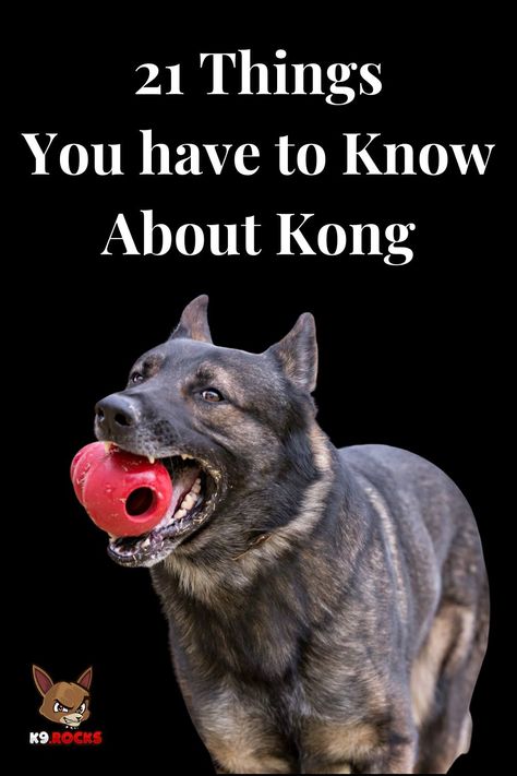 Do you ever think of having lots of treats on hand for your puppy? Whether you’re a new dog mom or dad looking for toys for your puppy, or a longtime pet parent hoping to spice things up with a new KONG for your large dog or small dog, we’ve got the ultimate guide to the different types of KONG toys and how to use them, as well as KONG recipes and more. How To Stuff Kong Toy, How To Stuff A Kong Toy, Kong Recipes For Puppies, Kong Filling Ideas, Kong Treats, Kong Recipes, Dog Boarding Facility, Boarding Facility, Kong Dog Toys