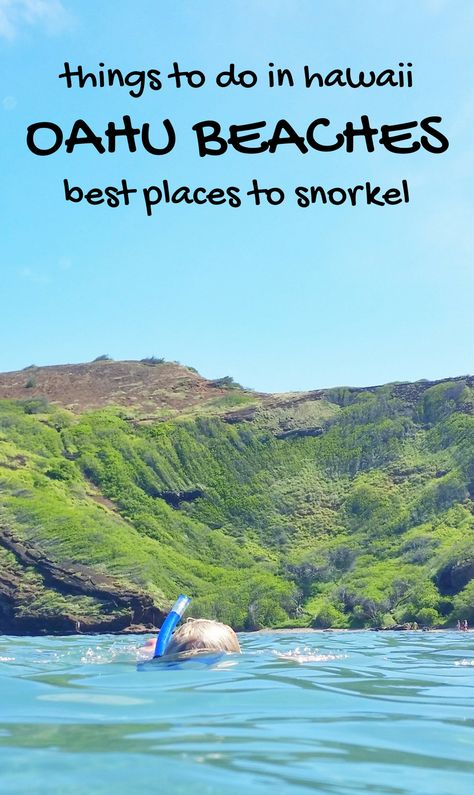 Best beaches and spots for snorkeling in Oahu Hawaii. For US beaches in Hawaii, there are kid-friendly activities like snorkeling and swimming with turtles and fish! Best Oahu beaches give you things to do in Oahu near hiking trails, food, and shopping. USA travel destinations for bucket list world adventures when on a budget with Hawaii vacation ideas! Put Waikiki Beach, East Oahu, North Shore snorkeling on the itinerary! Add snorkeling gear to Hawaii packing list and what to wear in Hawaii. Swimming With Turtles, Beaches In Hawaii, Things To Do In Oahu, Hawaii Activities, Oahu Beaches, Oahu Vacation, North Shore Oahu, Best Snorkeling, Visit Hawaii