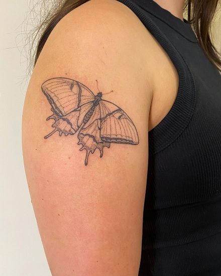 Butterfly Stick And Poke Tattoo Butterfly Stick And Poke Tattoo, Stick And Poke Butterfly, Butterfly Stick And Poke, Tattoo Scroll, Stick And Poke Tattoo, Cactus Tattoo, Stick N Poke Tattoo, Hand Poked Tattoo, Poke Tattoo