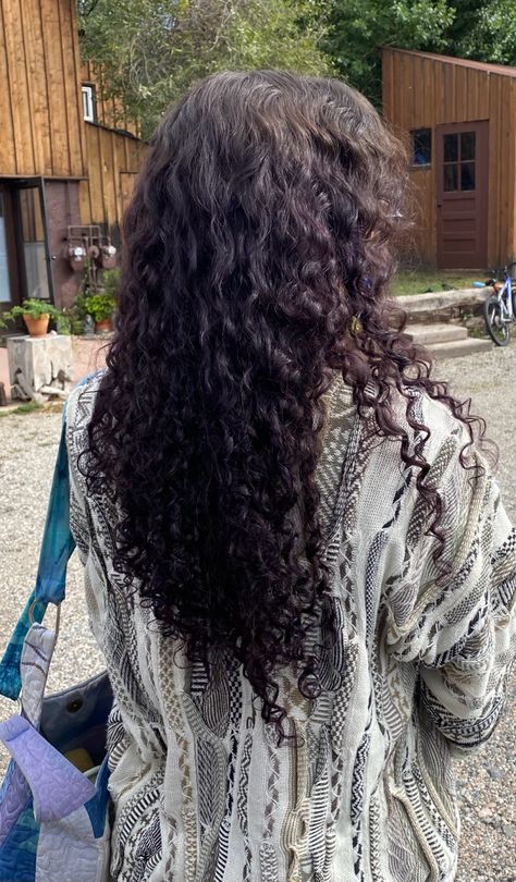 Dark Purple On Curly Hair, Purple Highlights In Curly Hair, Dyed Streaks In Hair Curly, Dyed Dark Curly Hair, Very Dark Purple Hair, Dark Dark Purple Hair, Purple Highlights Black Hair Curly Hair, Deep Purple Curly Hair, Dark Chocolate Curly Hair