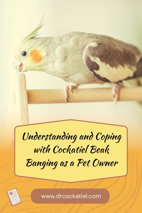 Cockatiels, Pet Birds, Pet Owners Cockatiel Care, Pet Hacks, Birdy, Pet Owners, Bangs, Birds