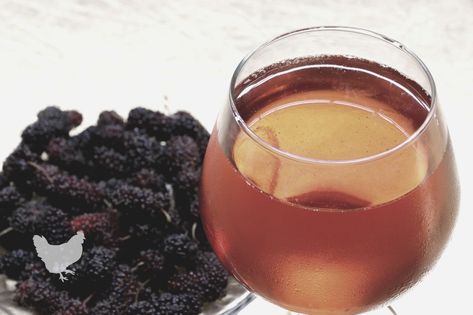 How To Make Mulberry Wine [Recipe Inside] — Farm & Animals Mulberry Wine Recipe, Mullbery Recipe, Mulberry Recipes, Mulberry Wine, Mulberry Fruit, Liquor Recipes, Wine Recipe, Fermentation Recipes, Wild Yeast