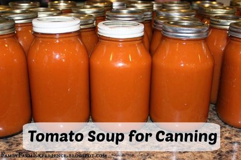 Tomato Soup For Canning, Canning Tomato Soup, Dry Soup Mix Recipes, Canning Soup Recipes, Farm Experience, Tomato Bisque Soup, Canning Tomatoes Recipes, Homemade Tomato Soup Recipe, Best Tomato Soup