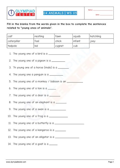 Third Grade Science Worksheets, Olympiad Exam, 2nd Grade Reading Worksheets, General Knowledge For Kids, States Of Matter Worksheet, Mental Maths Worksheets, Dictionary Skills, Matter Worksheets, Reading Comprehension For Kids