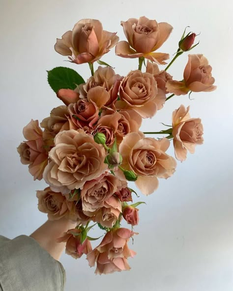 Muted Color Flowers, Wedding Flower Color Schemes, Brown Ranunculus, Brown Flowers Aesthetic, Rust Ranunculus, Rust Roses, Flower Crafts Diy, Earth Tone Flowers, Decoration Ideas With Paper