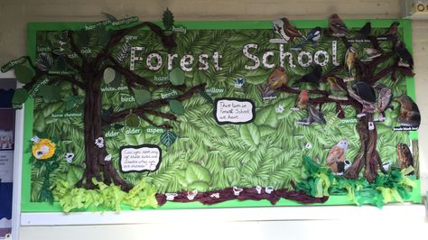 Forest school display board Forest School Display, Forest School Display Board, School Display Board, Boards For School, School Pictures Display, Display Boards For School, School Display, Display Boards, School Displays