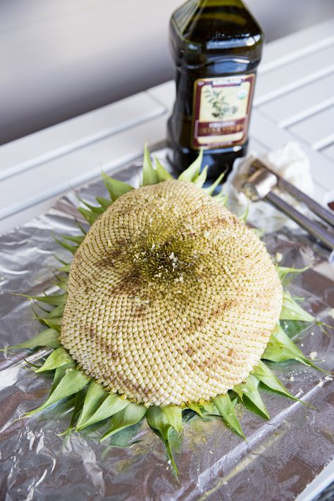 Cooking Sunflower Head, Eating Sunflower Head, Roasted Sunflower Head, Grilled Sunflower Head Recipe, Sunflower Recipes Food, How To Cook Sunflower Seeds, Sunflower Head Recipe, Roast Sunflower Seeds Oven, Sunflower Seeds From The Flower