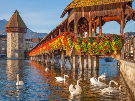 Chapel Bridge, City of Lucerne, Switzerland jigsaw puzzle in Bridges puzzles on TheJigsawPuzzles.com Switzerland Photography, Places In Switzerland, Switzerland Cities, Bridge City, Lucerne Switzerland, Alpine Village, Germany And Italy, Europe Vacation, Switzerland Travel