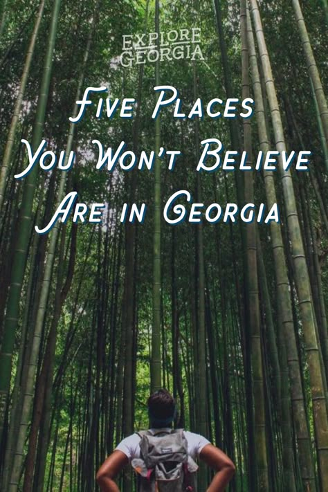 Surprising and unique places in Georgia Northern Georgia Vacation, Georgia Photography Locations, What To Do In Georgia Usa, South Georgia Travel, Georgia Hidden Gems, Georgia Trip Ideas, Georgia Bucket List Places To Visit, Places To See In Georgia, Southern Georgia Things To Do