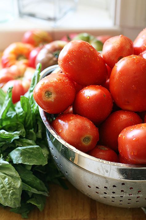 Fresh tomato basil marinara sauce #recipe from {YummyMummyKitchen.com} Basil Marinara Sauce, Marinara Sauce Recipe, Tomato Basil Sauce, Fresh Tomato Sauce, Basil Sauce, Veggie Patch, Yummy Mummy, Tomato Pasta, Garden Recipes