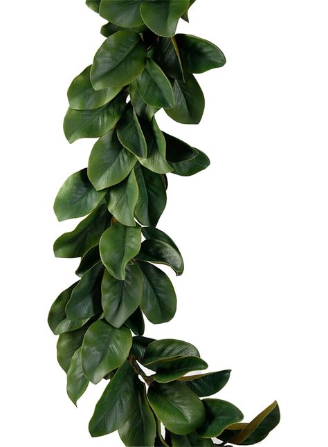 PRICES MAY VARY. MULTIPLE USECASES - Our magnolia leaf garland can add a touch of nature to your traditional décor at your holiday event. The colors are perfect for autumn-themed parties or Thanksgiving festivities. We also love incorporating magnolia garlands into Christmas decorations as an alternative to pine or tinsel. VERSATILE FLORAL GARLAND - It’s perfect for all season floral arrangements and is the perfect natural accent for your wedding décor. SUPERB QUALITY - The garland is of excelle Store Display Window, Magnolia Christmas Decor, Wedding Mantle, Magnolia Leaf Garland, Artificial Magnolia, Magnolia Decor, Red Magnolia, Magnolia Garland, Magnolia Leaf