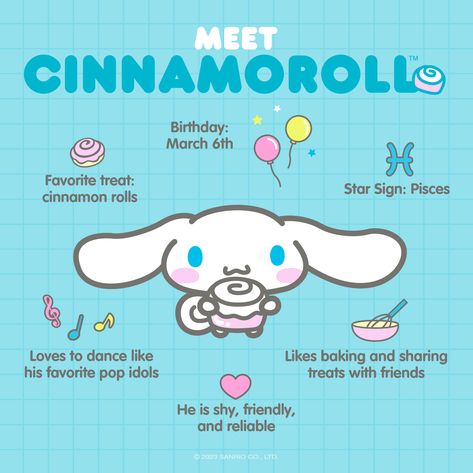 Cinnamon Roll Diy Sanrio, Cinnamoroll Friends, Hello Kitty Island Adventure, Sanrio Things, Hello Kitty Videos, Hello Kitty Crafts, Images Kawaii, Kitty Images, Hello Kitty Characters