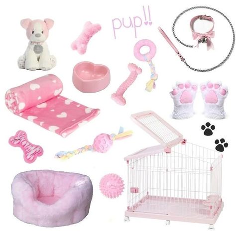 Cat Regressor, Puppy Girl Aesthetic, Puppycore Aesthetic, Pet Regressor, Puppy Space, Pup Play, Pet Regression, Pet Play Area, Puppy Girl